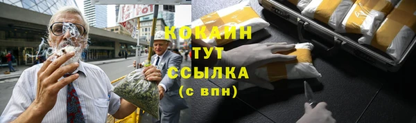 трава Аркадак