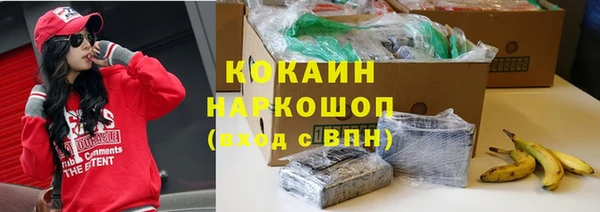 spice Арсеньев