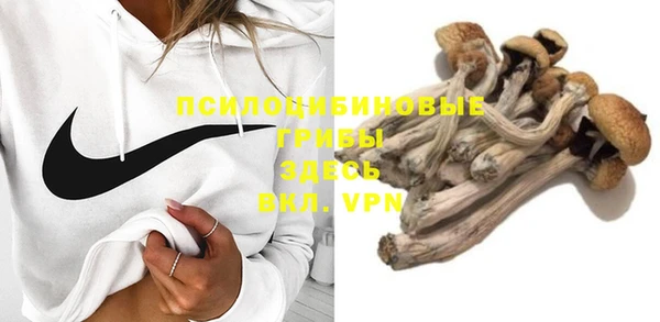spice Арсеньев