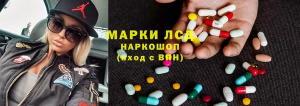 трава Аркадак